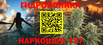 гашик Бузулук