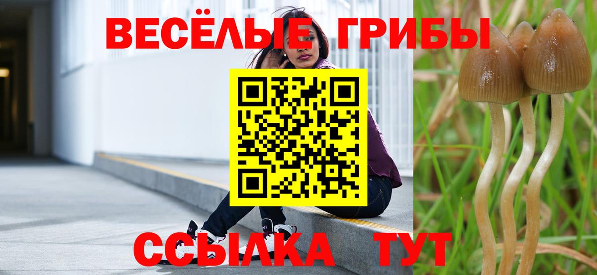 Псилоцибиновые грибы ЛСД  хочу   Обь  Вход с VPN 